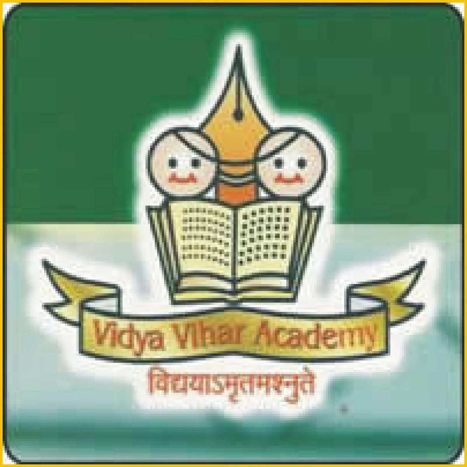VIDYA VIHAR ACADEMY