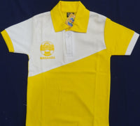 DAV YELLOW T-SHIRT