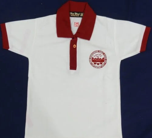 SWAMI HARIHARANAND MAROON T-SHIRT