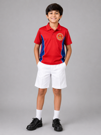 DHOOM SINGH RED T-SHIRT