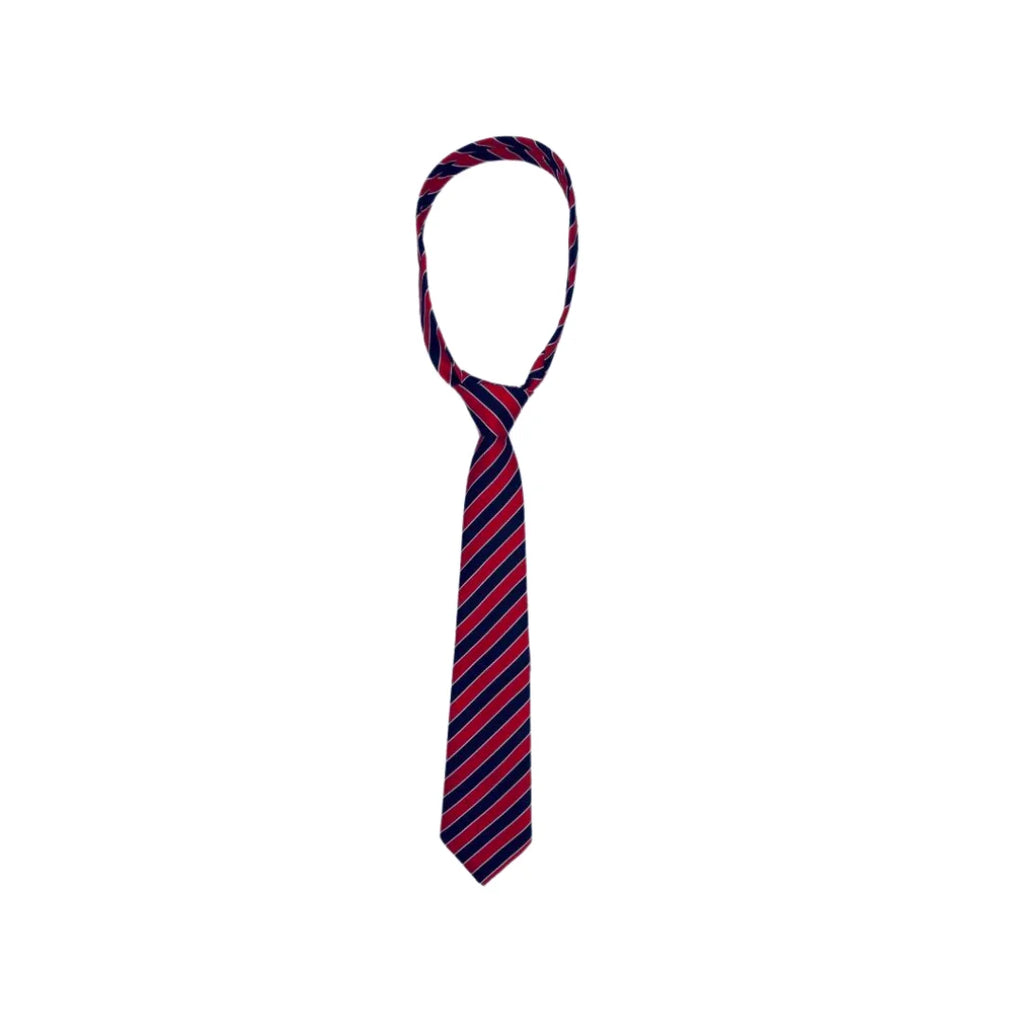 ACHIEVERS TIE WINTER