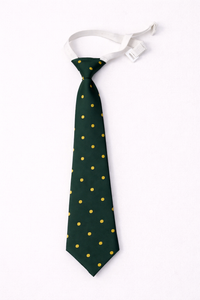 VIDYA VIHAR TIE