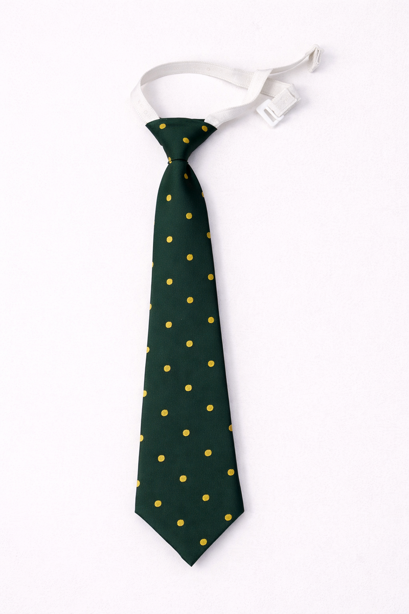 VIDYA VIHAR TIE