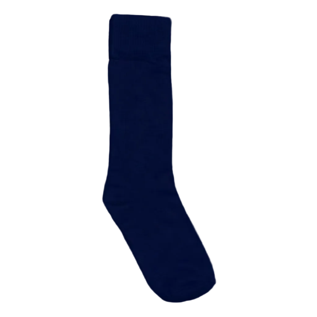 BLUE SOCKS