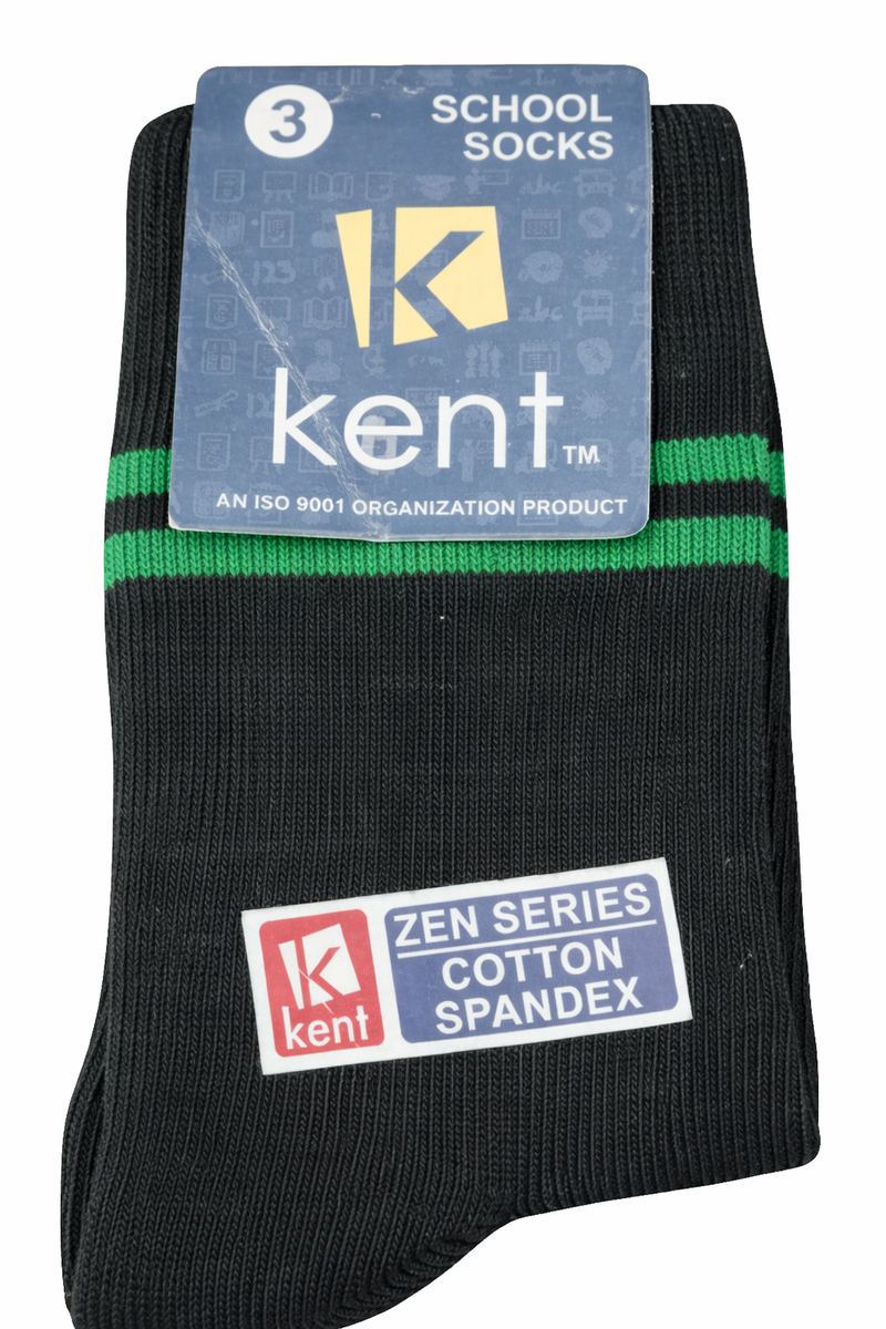 WISDOM GLOBAL GREEN SOCKS