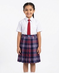 SHRI RAM SKIRT