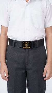 DPS D BELT