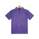 DPS PURPLE TSHIRT