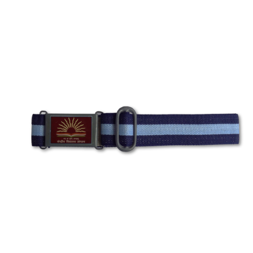 KVS BELT