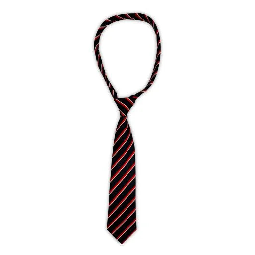 SPRING FIELD TIE