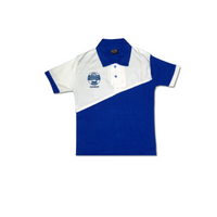DAV  BLUE T-SHIRT