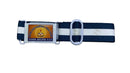 DHOOM SINGH BELT