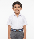 KVS BELT
