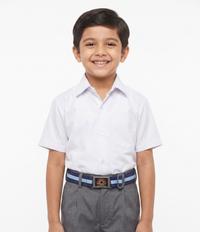 KVS BELT