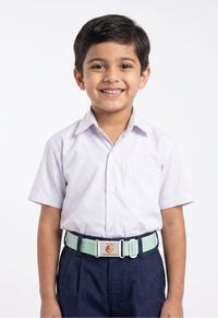 PING PONG BELT