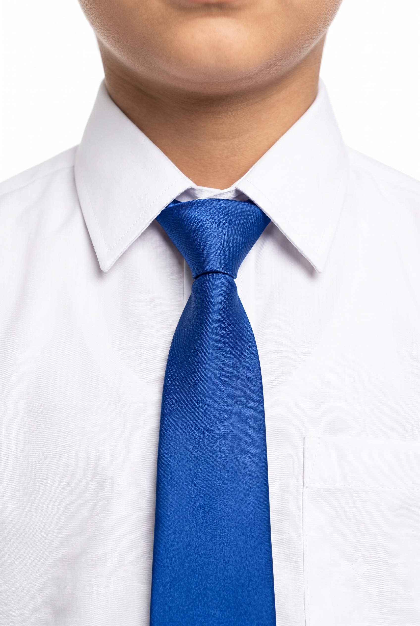HOUSE TIE ROYAL BLUE