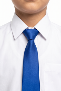 HOUSE TIE ROYAL BLUE